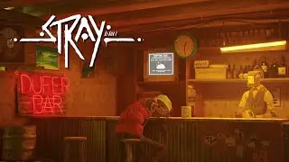 Looking for secrets in the Dufer Bar in Stray