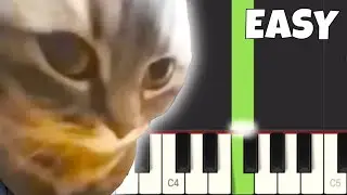 chipi chipi chapa chapa dubi dubi daba daba - EASY Piano