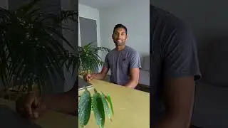 Create a Unique Mobile Footer