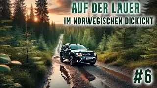Zwischen Kälte und Regen - #carlife in Norwegen Folge 6
