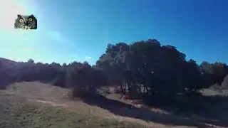 Fpv vaucluse session