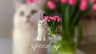 Мне мало тебя [ speed up ] ~ Serebro #музыка  #music