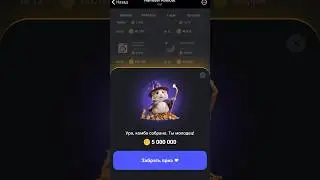 Hamster Kombat комбо от 06.06.2024
