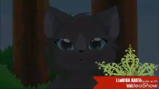 Клип_(коты воители 1 #). Синяя Звезда и Жолудь , где ты там я.