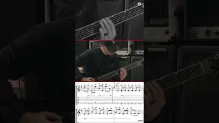 Sylosis SHREDS