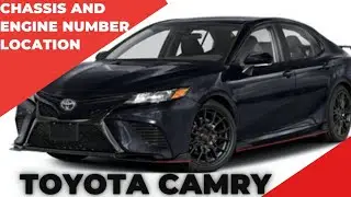 TOYOTA CAMRY chassis and Engine Number Location