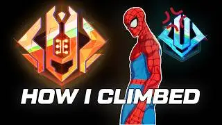 The Most Educational Spider-Man Guide in 2026
