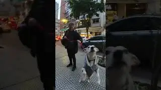 Gracias señor por el mensaje y la buena onda