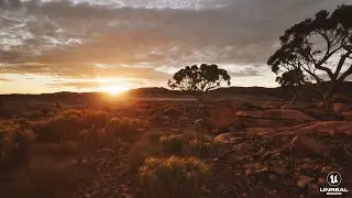 The Golden Hour Unreal Engine 5.3 Lumen Nanite