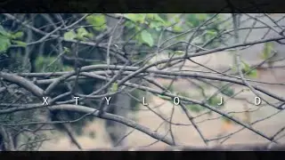 XTYLO JD NATURE.......... VIEW IN HD