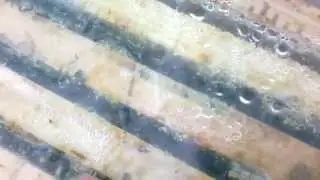 Как не нужно зимовать в финских ульях