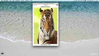 AutoLayout on IOS 9 Part-6  Stack View   A Friend in Need