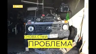 НЕРВЫ НА ПРЕДЕЛЕ! Ниву сглазили? Как заменить масляный насос