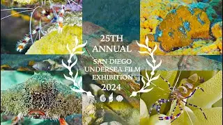 Treasure in the Rubble - San Diego Undersea Film Exhibition
