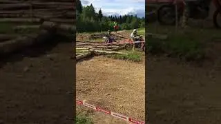 Шустрая Белка 2018