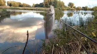 Рыбалка на карьере озеро Измалово
