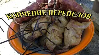 Копчение перепелов в бочке