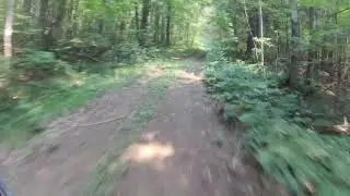 Bush to Triple Hydro Line