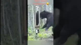 #подпишись