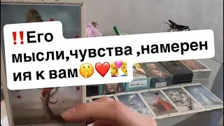 ‼️His thoughts, feelings, intentions towards you🤫❤️👩‍❤️‍👨