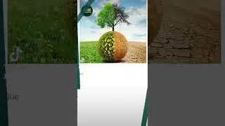 Te compartimos el siguiente  Flyer sobre Medio Ambiente.
