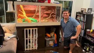 Epic Bearded Dragon Desert Habitat From Scratch!
