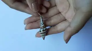 Sterling Silver, Sea Shell, Dangle Earrings SSE 184