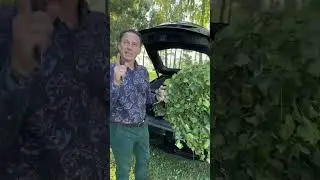3 июля 2023 г.