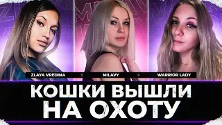 КОШКИ ВЫШЛИ НА ОХОТУ ^__^