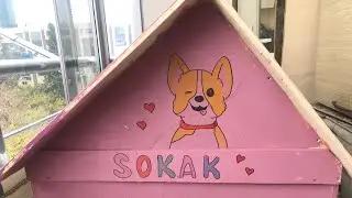 Köpek Kulübesi boyama/kendin yap