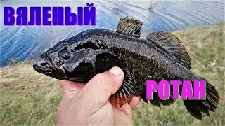 We salt and dry the fish. DRIED ROTAN IS VERY TASTY.
