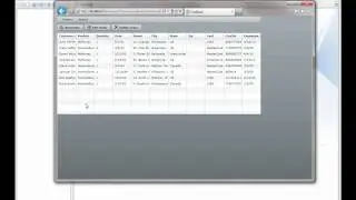 TestComplete: Testing Flash/Flex Applications With Runtime Loader