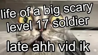 Life of a level 17 soldier (late late vid ik)