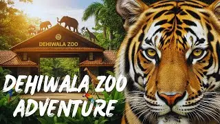 Exploring Dehiwala Zoo Colombo 2025 | Complete Wildlife Experience