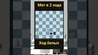 Telegram: Albinachess 