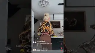 لایو سکسی ندا ممه از کانادا 🤠