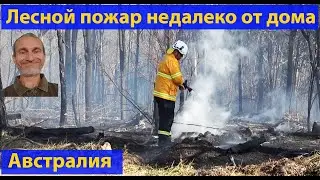Австралия горит всегда и везде. (видео 378)