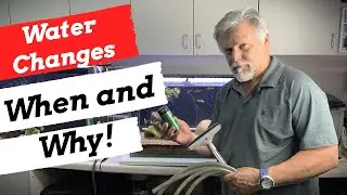 WATER CHANGES [DIAL them IN PERFECTLY!] *HERE's HOW!*