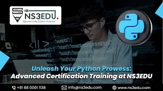 Unleash Your Python Prowess: Advanced Certification Training at NS3EDU | NS3EDU
