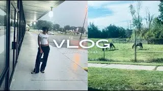 Chatty Vlog | Cooking | Whole Foods Haul