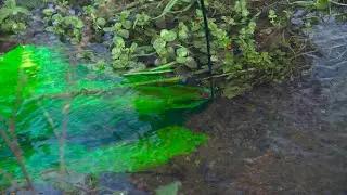 Water Pressure (Episode 9, Season 20)