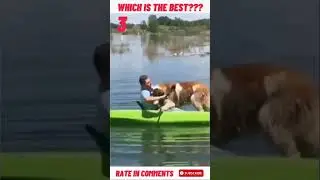 Bad day look at this !!!