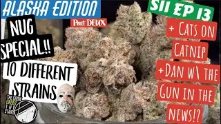 S11 EP13:  WOW!  Harvest Nug show + cats on catnip, Dan with the gun on the News w/ SPIDER FARMER