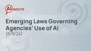 Emerging Laws Governing Agencies’ Use of AI