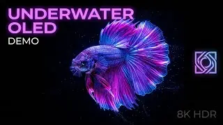  Underwater world OLED DEMO HDR 8K Ultra HD 