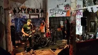 Stain