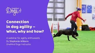 FREE Dog Agility Webinar: Connection in dog agility: What, where and how?