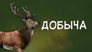 Добыча