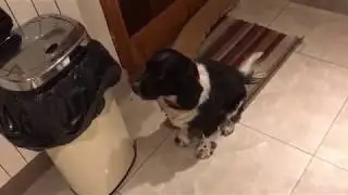 Riley Having Yogurt