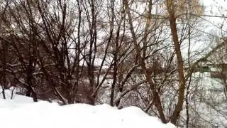 с. Скородное Губкинский район Белгородской области